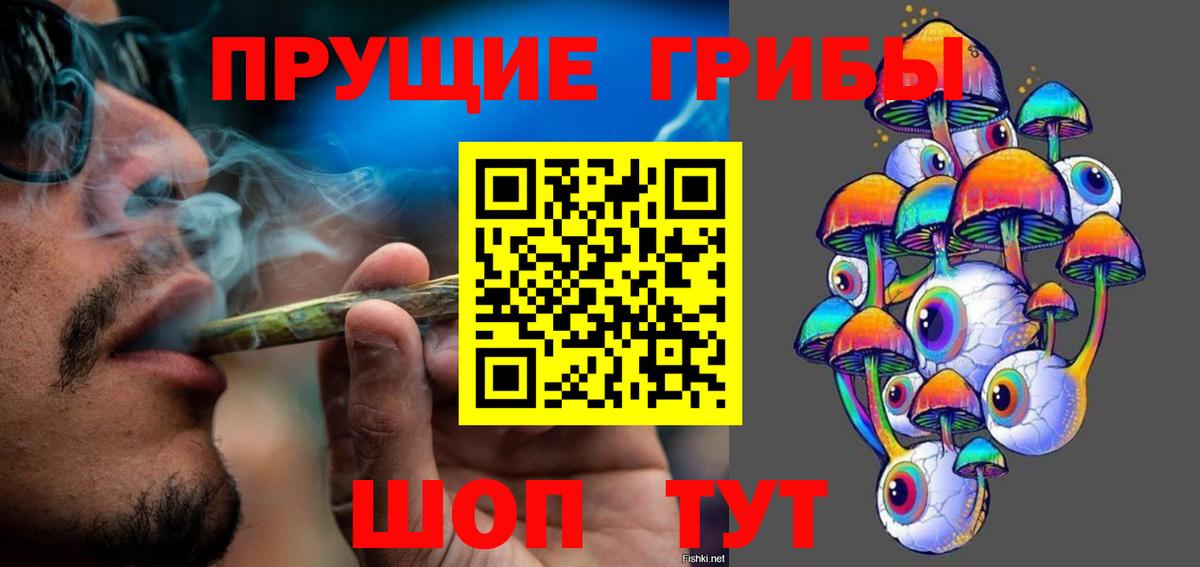 Галлюциногенные грибы Cubensis  Вход с VPN  Заводоуковск  Галлюциногенные грибы мицелий 